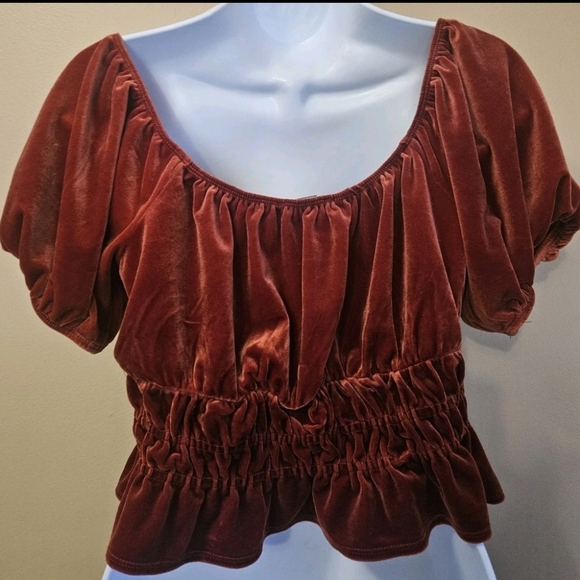 Forever 21 Women's Size L Velvet Orange Cropped Peasant Top Puff Sleeve Bohemian - Picture 2 of 4